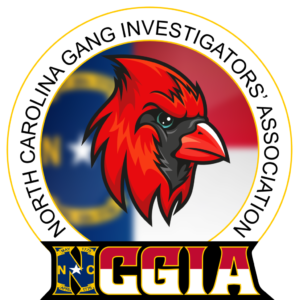 NCGIA Logo Black